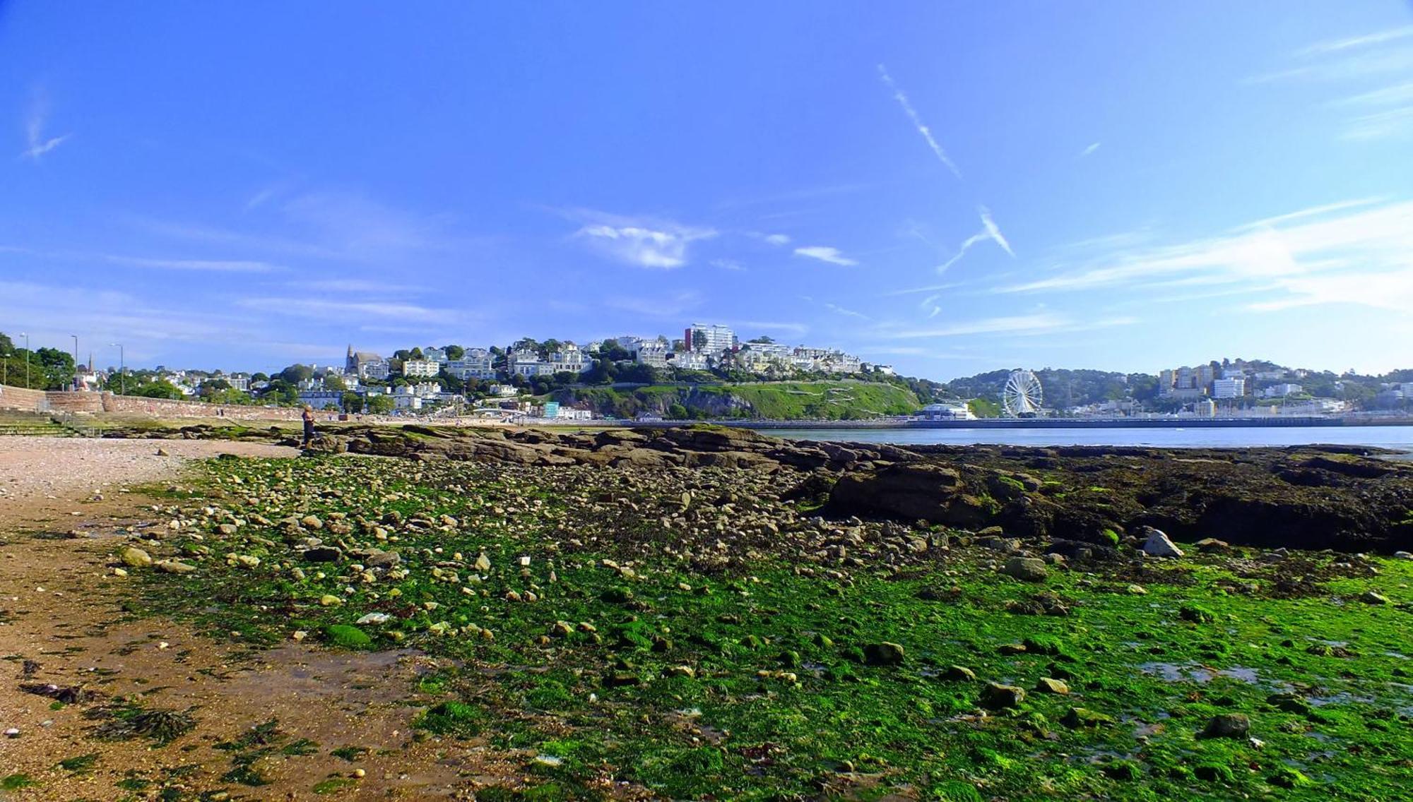 The Osborne Hotel Torquay Esterno foto
